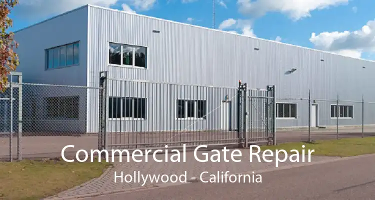 Commercial Gate Repair Hollywood - California