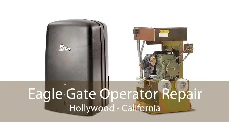 Eagle Gate Operator Repair Hollywood - California