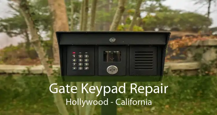 Gate Keypad Repair Hollywood - California