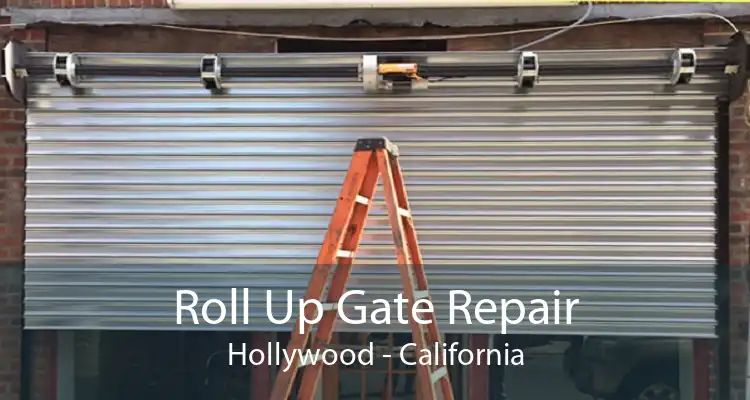 Roll Up Gate Repair Hollywood - California